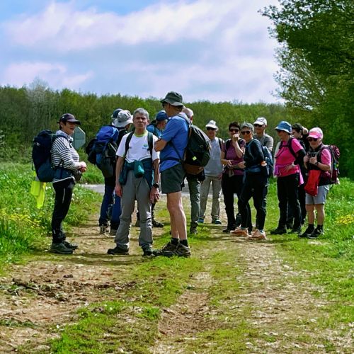 SAINT-SAUVANT 2024 04 11