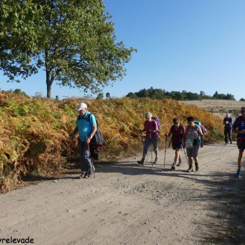 Mille Vaches 2019 25