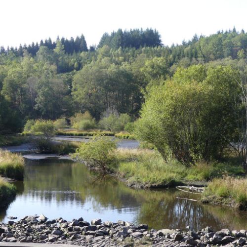 Mille Vaches 2019 27