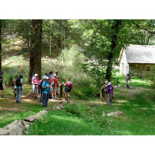 Mille Vaches 2019 30